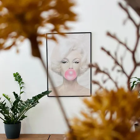 Loft Altstadt Mit Sandstein Gewoelbe Und Parkplatz * Pirna