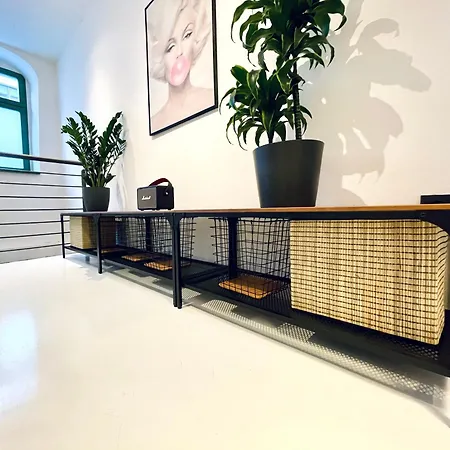 Loft Altstadt Mit Sandstein Gewoelbe Und Parkplatz Lägenhet *